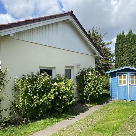 Villa Baltica Bungalow ダーメ エクステリア 写真